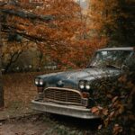 vintage car in autumn forest setting